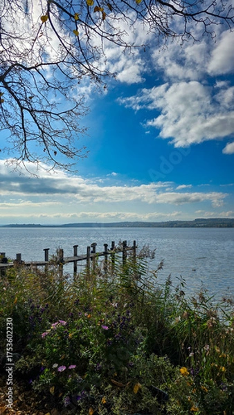 Obraz View of the idyllic Lake Constance from the bloom shore on a sunny autumn day. Wooden bridge on the lake. Blue sky with white clouds.