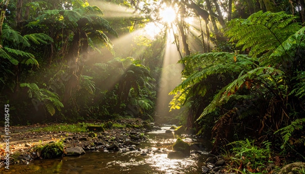 Fototapeta Sunlit Stream in Lush Rainforest