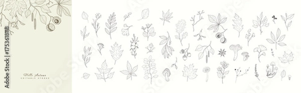 Fototapeta Autumn set of different seasonal brunch of plants and fall leaves, mushrooms and berries. Delicate and elegant botanical design elements