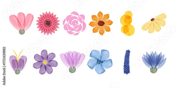Fototapeta A collection of twelve colorful floral illustrations are rendered in watercolor style. Flowers have shades of pink, yellow, orange, blue and purple.