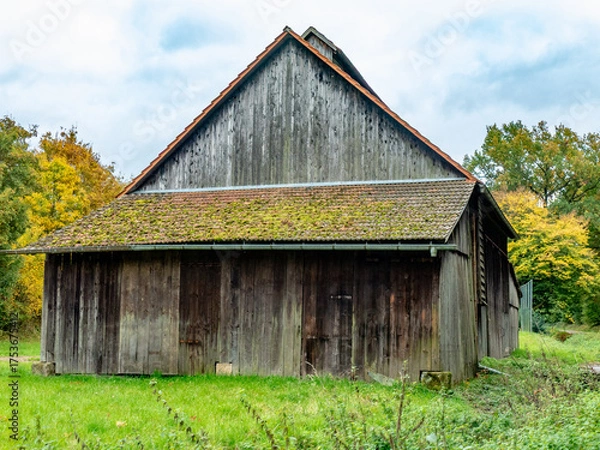 Obraz Moos auf dem Dach eines ungeheizten Hauses