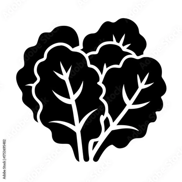 Obraz Illustration of fresh lettuce, a healthy and nutritious leafy green vegetable