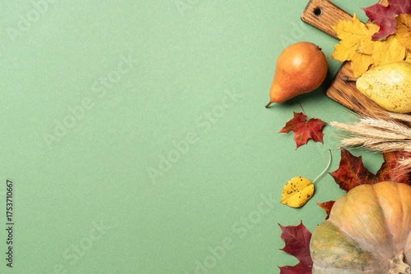 Fototapeta Pumpkin, fruits, spikelets and fallen leaves on color background.