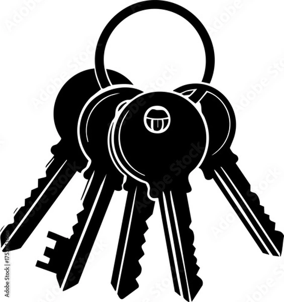 Fototapeta Unlock new possibilities and access opportunities with this professional set of essential keys, symbolizing security and solutions for your next project.