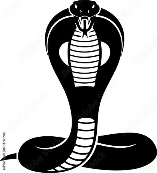 Fototapeta Striking black cobra poised to strike, exuding power and danger with its iconic hood and piercing gaze, perfect for bold branding.