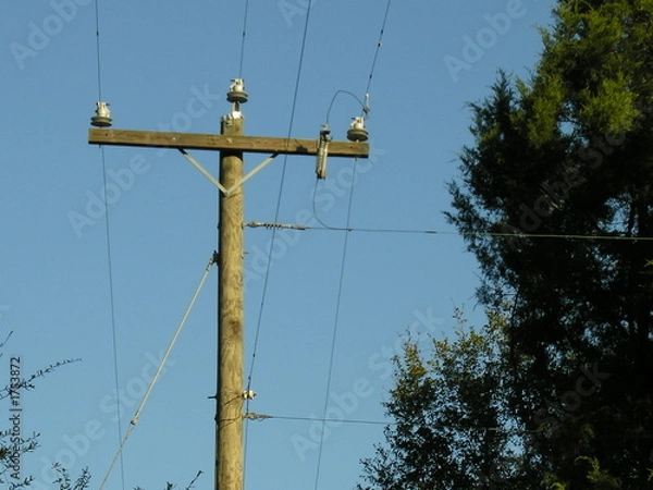 Obraz country telephone pole