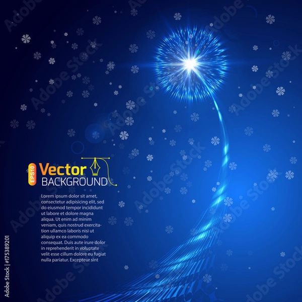 Obraz Christmas star