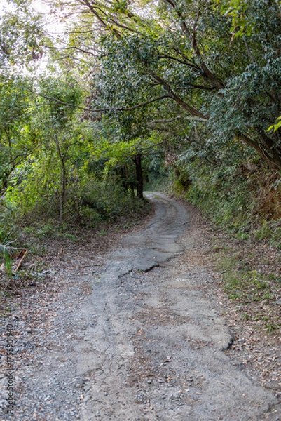 Fototapeta 山登りする小さな道