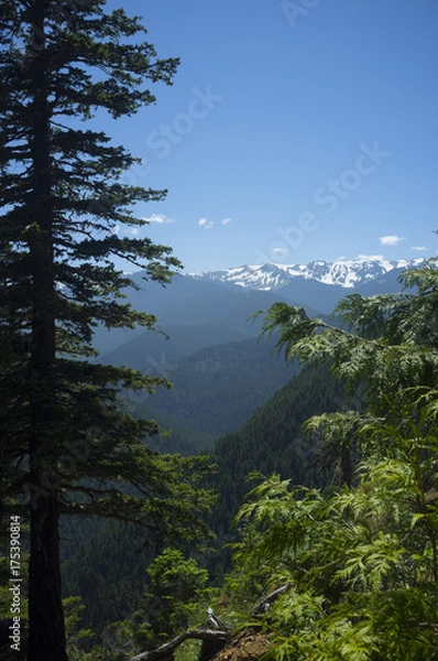 Obraz Olympic Mountains