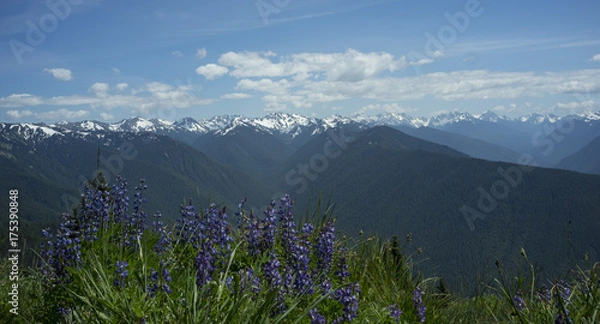 Obraz Olympic Mountains