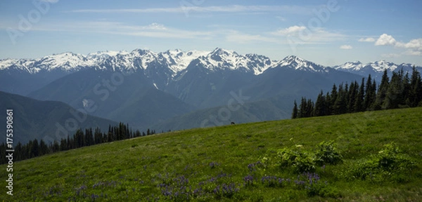 Obraz Olmpic Mountains