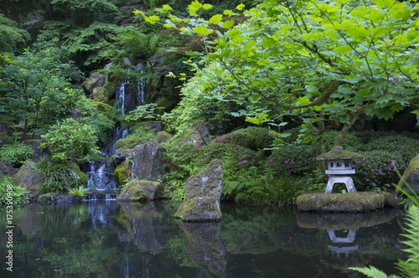 Obraz Pagoda & Falls