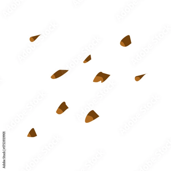 Fototapeta Chocolate cookie crumb