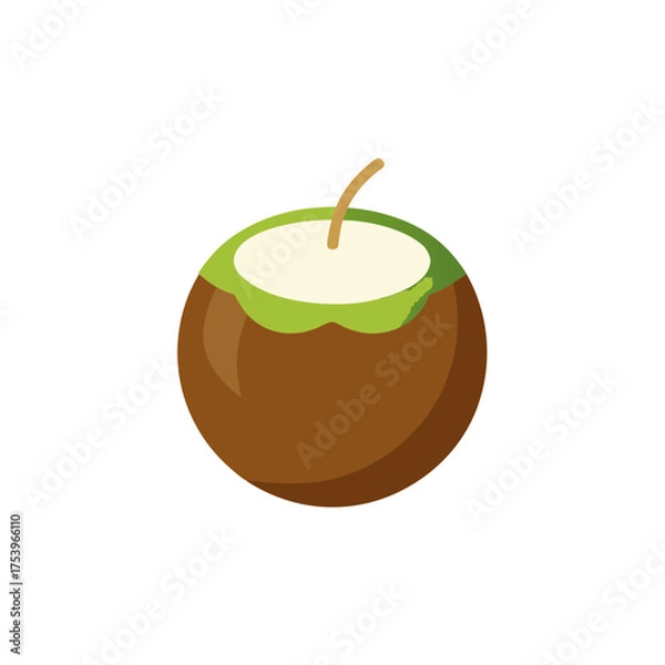 Obraz Illustration of a fresh young coconut fruit on transparent background
