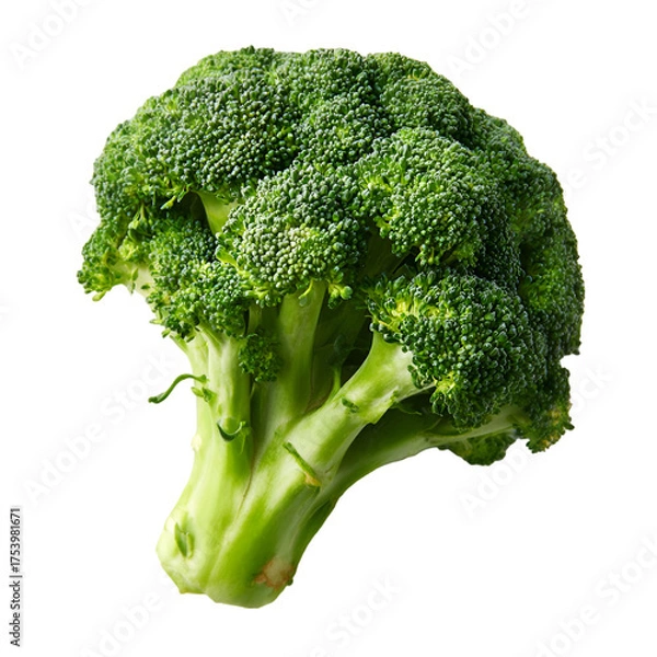 Obraz broccoli