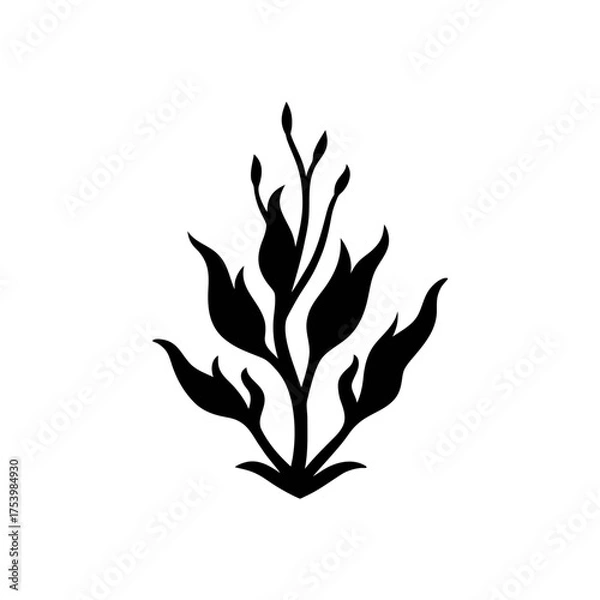 Fototapeta Silhouette floral design with pointy leaves on transparent background