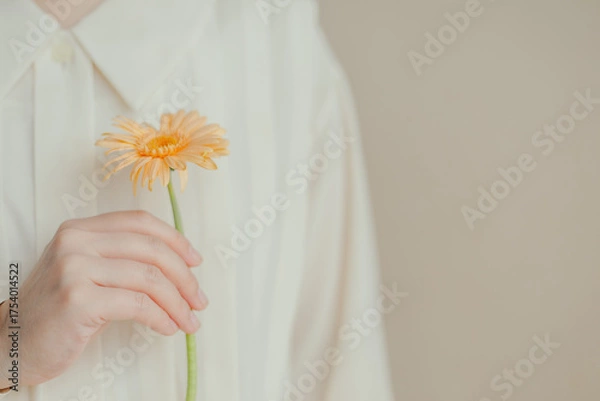 Obraz 1輪のガーベラを持つ女性の手