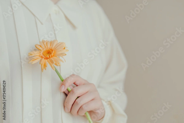 Obraz 1輪のガーベラの花を持つ女性の手