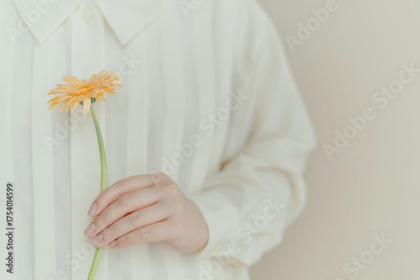 Obraz 1輪のガーベラの花を持つ女性の手