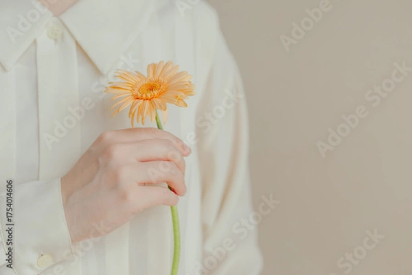 Obraz 1輪のガーベラを持つ女性の手