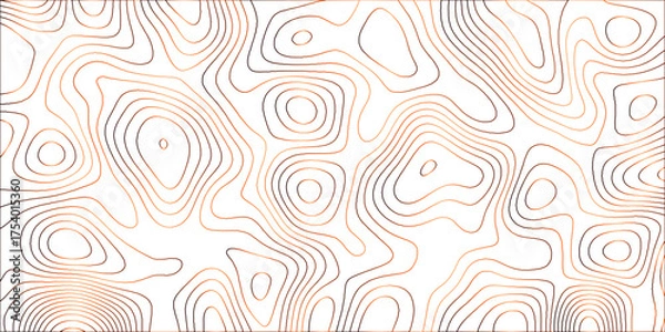 Fototapeta Topographic canyon geometric map relief texture with curved layers and shadow .Abstract geometric topographic contour map background. Panorama view gradient multicolor wave curve