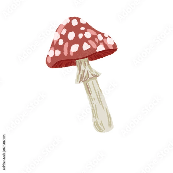 Fototapeta Fly Agaric Toadstool Vector Illustration with Speckled Cap