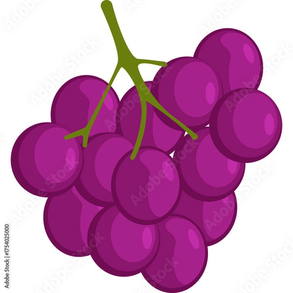 Obraz Purple Grape Cluster with Green Stem on Transparent Background