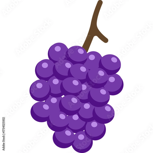 Obraz Purple Grapes Bunch on Stem Minimalist Line Art Style Illustration Isolated on Transparent Background Simple Organic Fruit Graphic