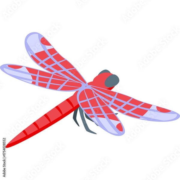 Obraz Red And Blue Dragonfly Insect With Detailed Wings Isolated On White Background With Shadow