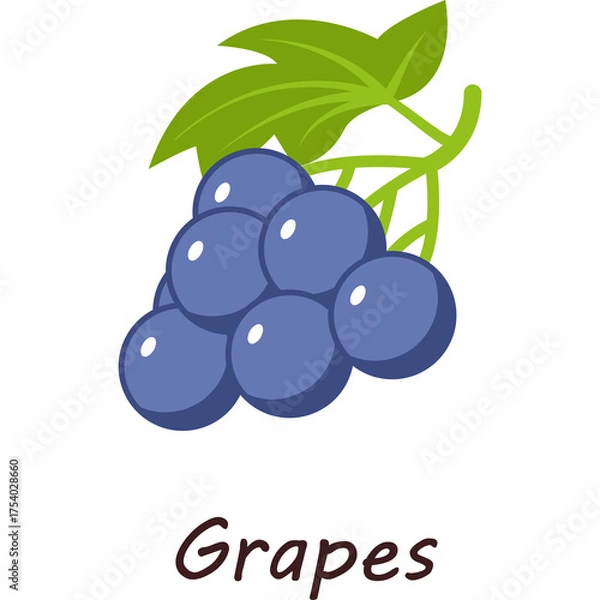 Obraz Purple Grapes With Green Leaves And Stems On Transparent Background Artistic Illustration