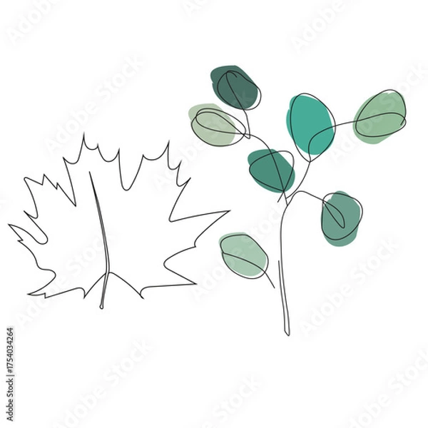 Fototapeta branch with leaves