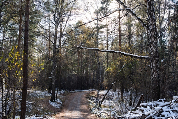 Fototapeta Snowy Path Through the Autumn Forest