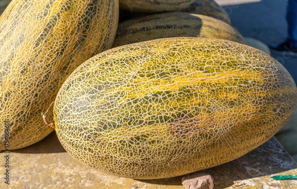 Obraz melon peel macro