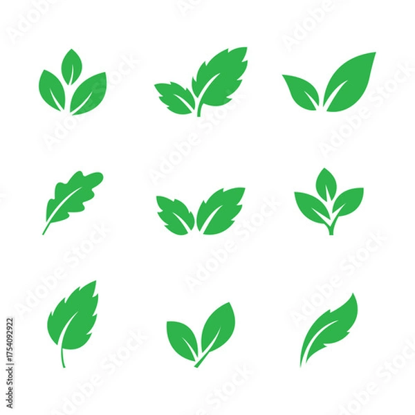Fototapeta Set of green leaf icons. Leaves of trees and plants. Collection of green leaf. Vector illustration