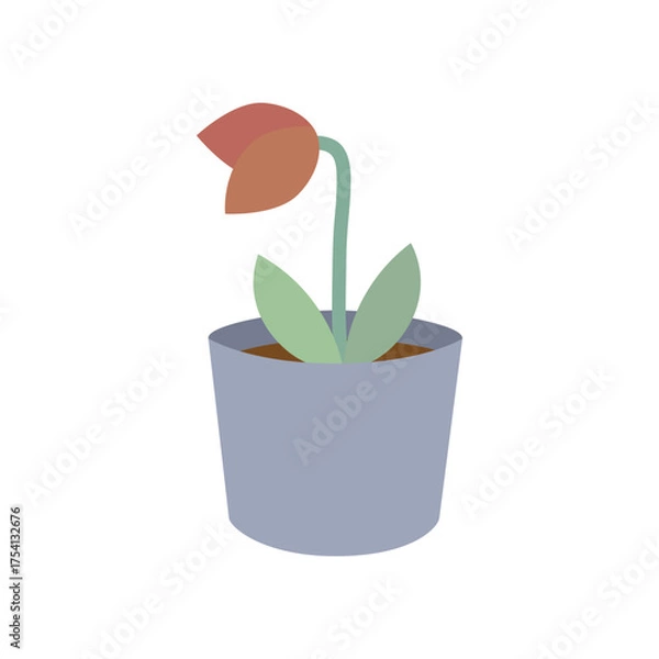 Obraz Dying dead tulip flower in pot. Nature, plant, growth, blossom, care concepts. Flat decorative vector design isolated illustration.