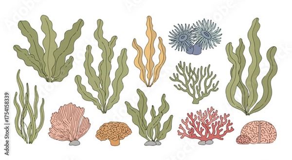 Obraz Hand-Drawn Aquatic Flora Assemblage with Seaweed, Coral, and Anemones: An Illustrative Marine Ecosystem Collection