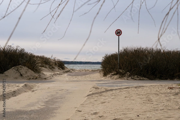Obraz Sand dunes and beach where pets are not allowed