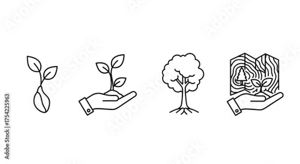 Fototapeta Plant growth stages line icon set from seed and sprout to big tree. Reforestation, sustainable forestry, and wood industry concept. Ecology, environment, and nature care.