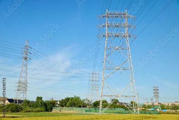 Obraz 秋の田んぼと青空にそびえる鉄塔