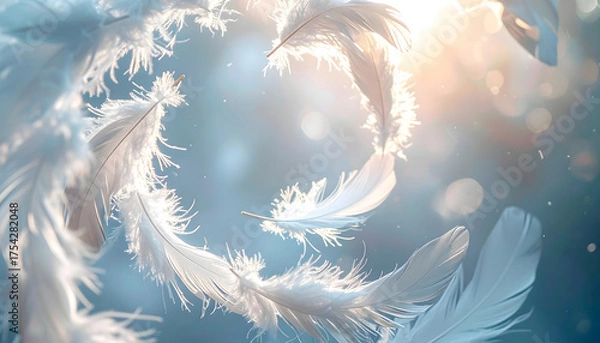 Obraz 渦巻く白い羽