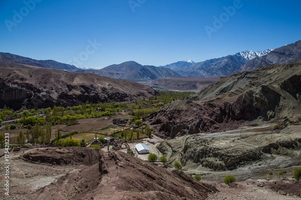 Fototapeta View of Ladakh scene forest with mountain background