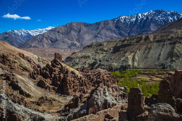 Fototapeta View of Ladakh scene forest with mountain background