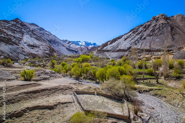 Fototapeta View of Ladakh scene forest with mountain background