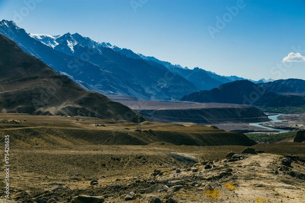Fototapeta View of Ladakh scene forest with mountain background