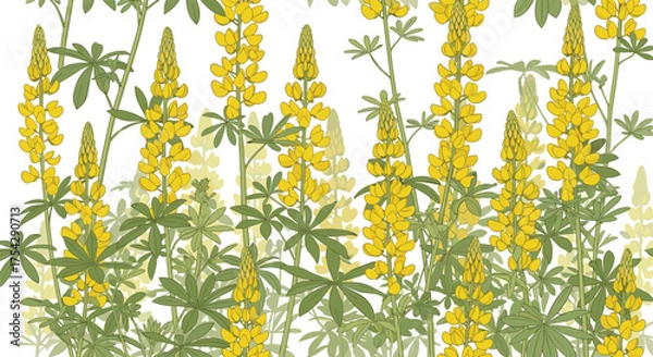Obraz A vibrant yellow lupine floral pattern with green foliage and a white background.