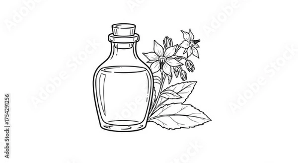 Fototapeta Aromatic botanical extract in a glass bottle with plant sprigs.