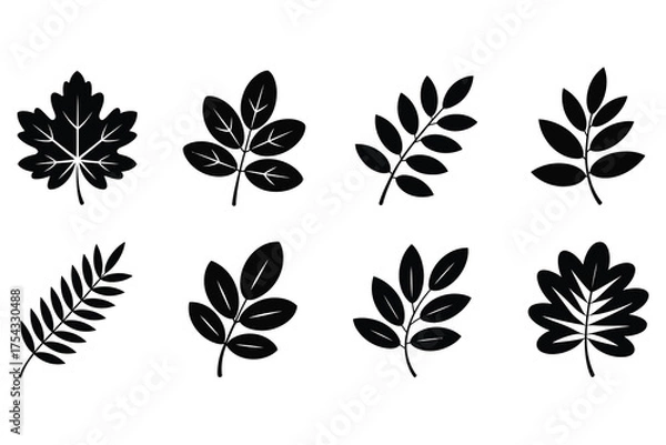 Fototapeta Black Leaf Silhouette Icon Set – Minimal Nature Botanical, Maple, Oak, Fern, and Foliage Vector Collection