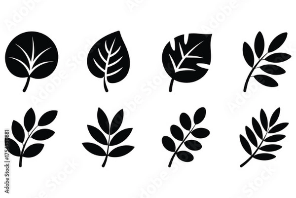 Fototapeta Leaf Silhouette EPS Set – Modern Botanical Branch Icon Clipart, Black Plant Foliage Bundle, Simple Nature Element