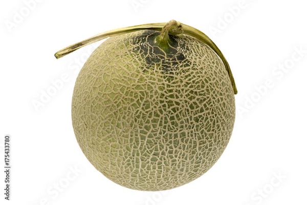 Fototapeta メロン　北海道赤肉メロン　白抜き