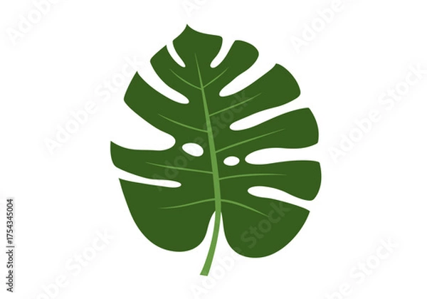 Obraz Stylized Green Monstera Leaf with Cutouts Illustration.